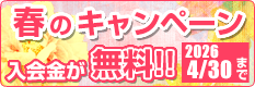 春のスクール体験キャンペーン 今なら体験レッスン、入会金が無料!!2026年4月30日(木)まで